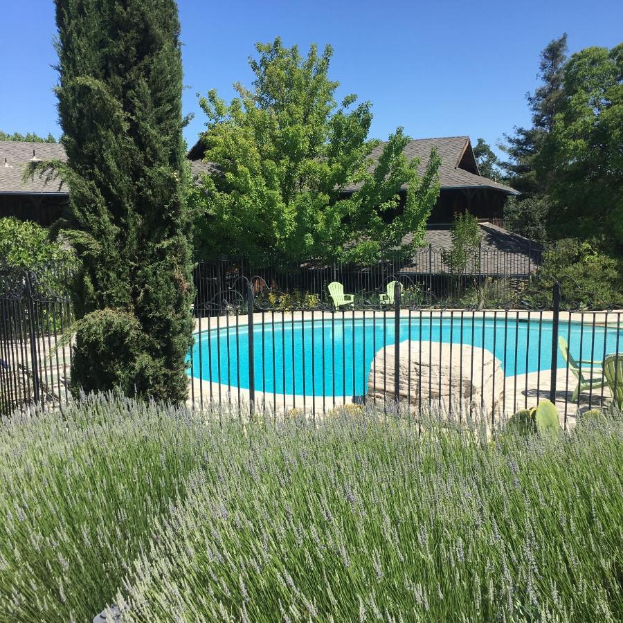 Inn Paradiso Paso Robles Εξωτερικό φωτογραφία